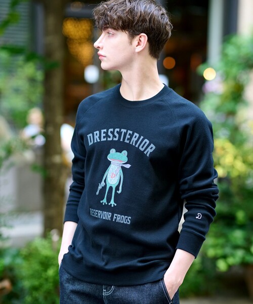 DRESSTERIOR tシャツ フロッグラグランフライスロングTシャツ