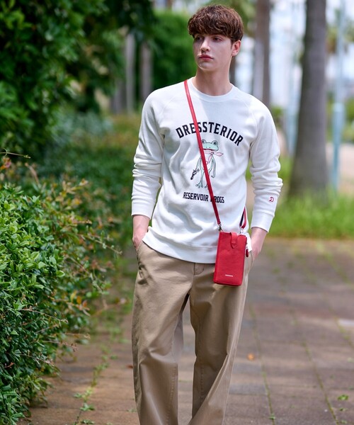 【新品未使用】DRESSTERIOR フライス ジレッタイガー ロングTシャツ kb3461-05_1.jpg