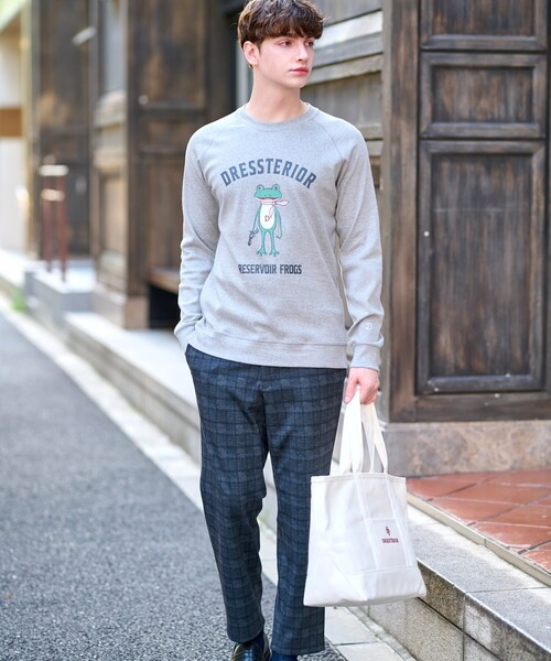 DRESSTERIOR tシャツ フロッグラグランフライスロングTシャツ