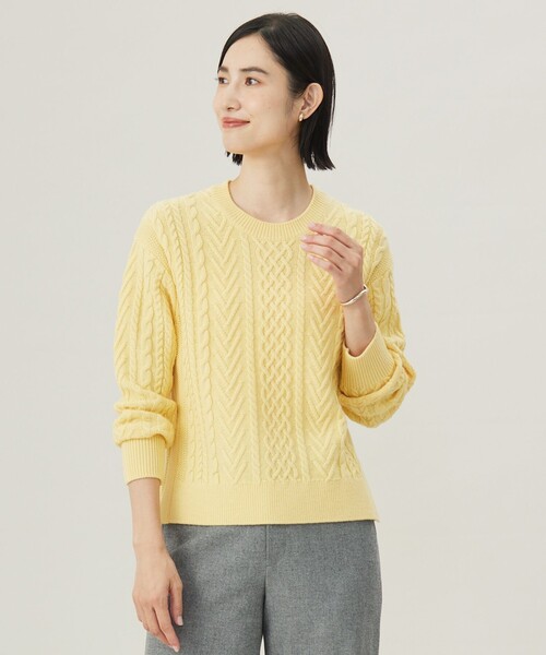 【WEB限定カラーあり・洗える】EIGER CORD ALAN クルーネックプルオーバー ニット ニット セーター 「WEB限定カラーあり・洗える」EIGER CORD ALAN