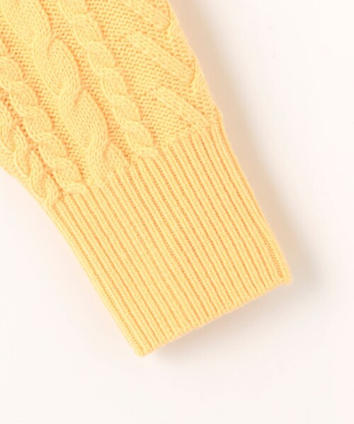 ニット セーター 「WEB限定カラーあり・洗える」EIGER CORD ALAN