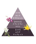 香水 フェルナンダ fernanda オーデコ...の詳細画像1