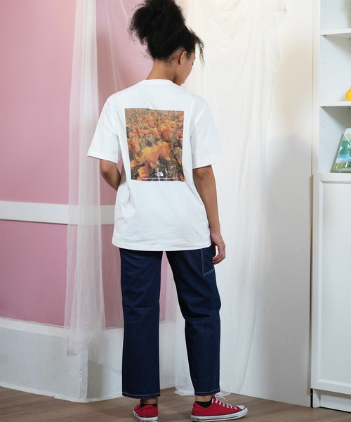 THE NORTH FACE tシャツ FACE/ザ・ノース・フェイス バック