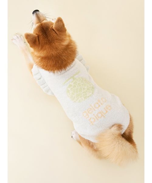 gelato pique（ジェラートピケ） 犬 ハーネス リード 「CAT＆DOG