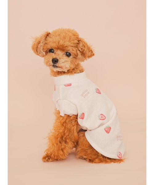 gelato pique（ジェラートピケ） 犬 ハーネス リード 「CAT＆DOG