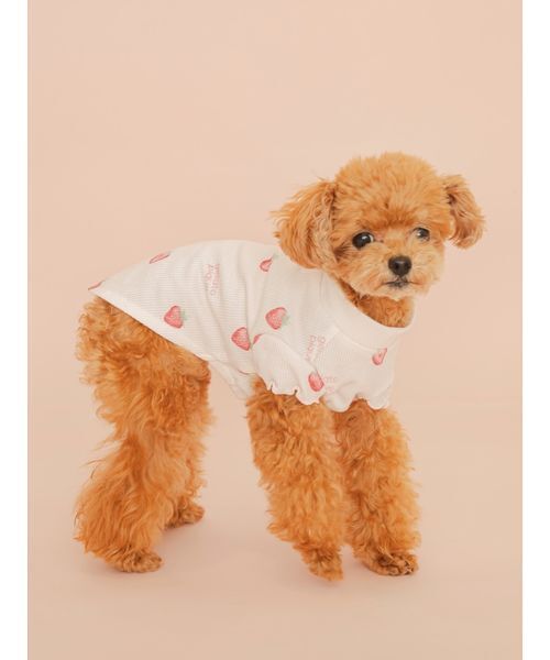 gelato pique（ジェラートピケ） 犬 ハーネス リード 「CAT＆DOG