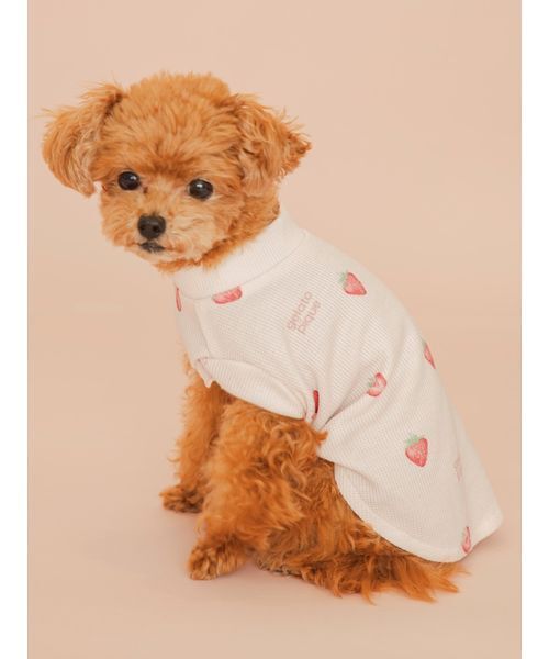 オレンジブーケの犬の服 gelato pique（ジェラートピケ） 犬 ハーネス リード 「CAT＆DOG