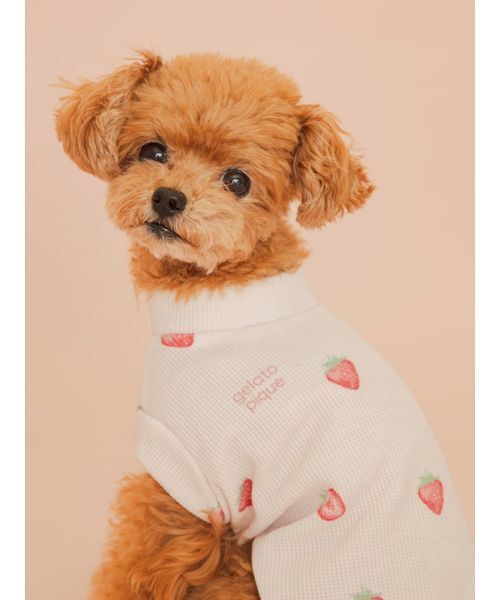 gelato pique（ジェラートピケ） 犬 ハーネス リード 「CAT＆DOG