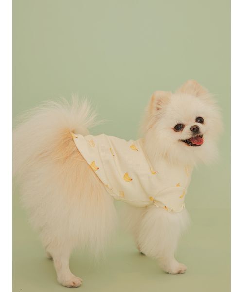 gelato pique（ジェラートピケ） 犬 ハーネス リード 「CAT＆DOG