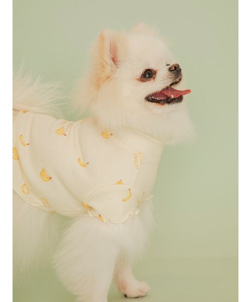 gelato pique（ジェラートピケ） 犬 ハーネス リード 「CAT＆DOG