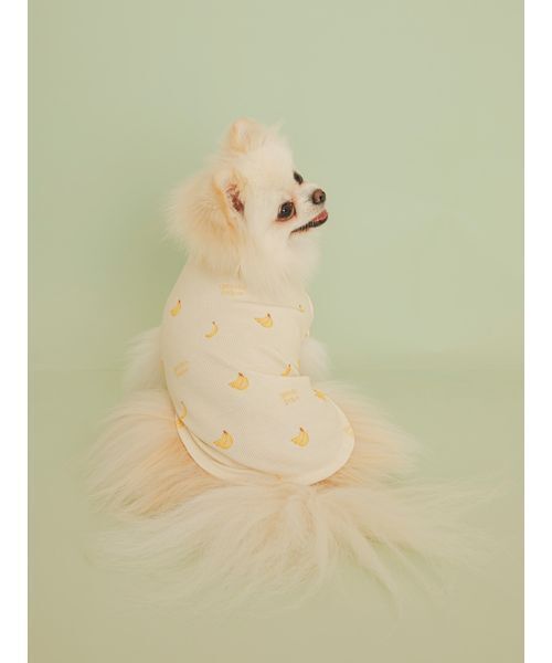 gelato pique（ジェラートピケ） 犬 ハーネス リード 「CAT＆DOG