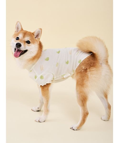 gelato pique（ジェラートピケ） 犬 ハーネス リード 「CAT＆DOG