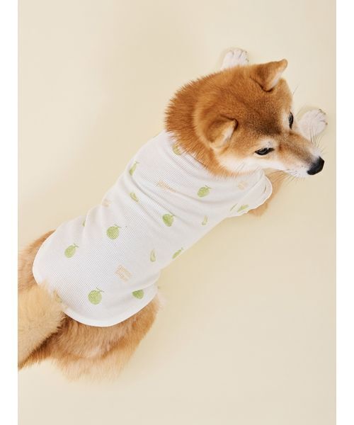 gelato pique（ジェラートピケ） 犬 ハーネス リード 「CAT＆DOG
