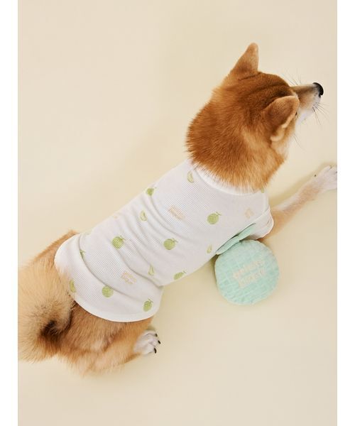 gelato pique（ジェラートピケ） 犬 ハーネス リード 「CAT＆DOG