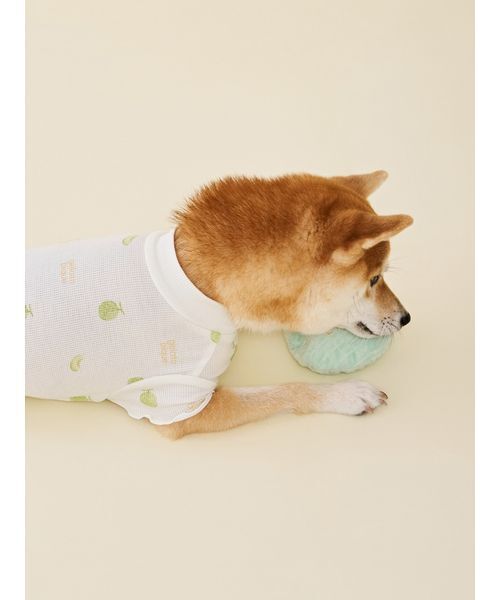 gelato pique（ジェラートピケ） 犬 ハーネス リード 「CAT＆DOG