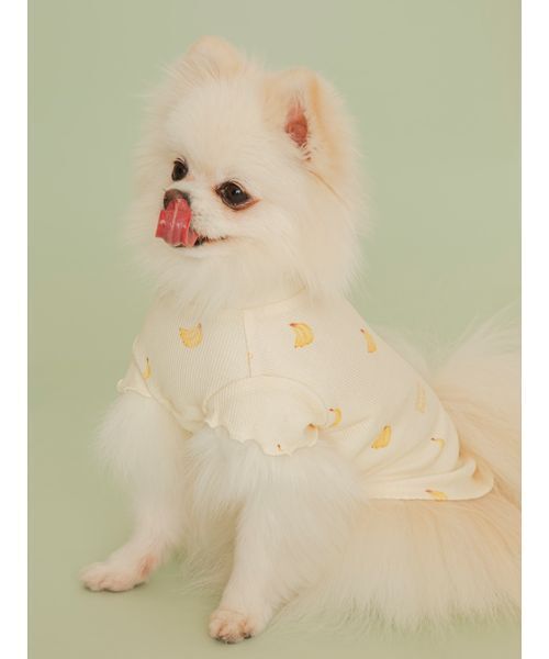 gelato pique（ジェラートピケ） 犬 ハーネス リード 「CAT＆DOG