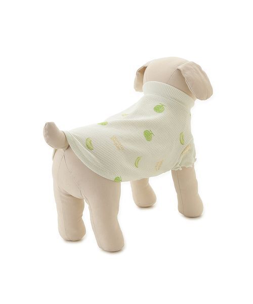 gelato pique（ジェラートピケ） 犬 ハーネス リード 「CAT＆DOG