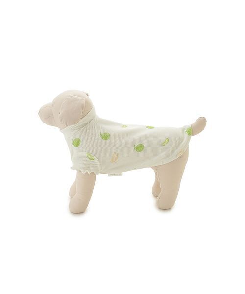gelato pique（ジェラートピケ） 犬 ハーネス リード 「CAT＆DOG