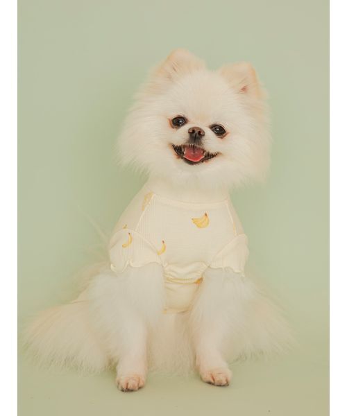 gelato pique（ジェラートピケ） 犬 ハーネス リード 「CAT＆DOG