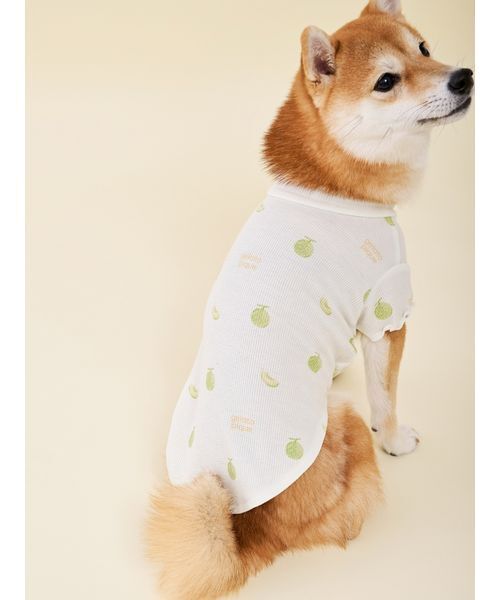 gelato pique（ジェラートピケ） 犬 ハーネス リード 「CAT＆DOG