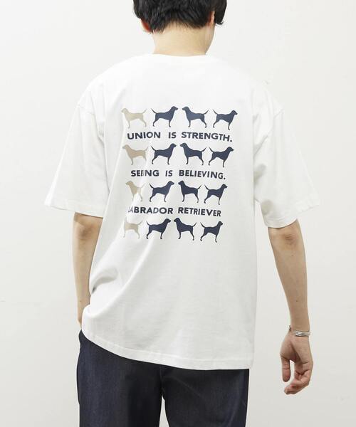 【MASTER FRAME/マスターフレーム】ラブラドールレトリバーTシャツ MASTER FRAME tシャツ 「MASTER FRAME/マスターフレーム