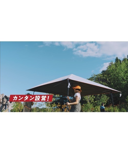 Coleman インスタントバイザーシェードIII／250 DR