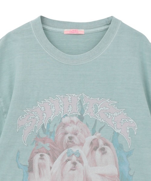 Candy Stripper（キャンディーストリッパー） tシャツ SHIH TZU METAL