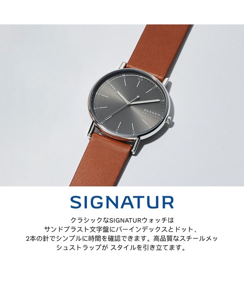 SKAGEN（スカーゲン） 腕時計 腕時計 メンズ アナログ レザー SKW6578 