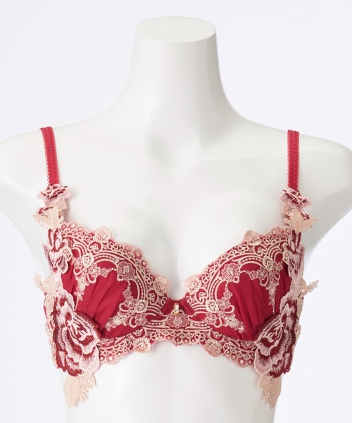 クラシカルフローラ シャープメイクブラ ショーツ レッド D65/S Dolce Fiora（ドルチェ フィオラ） ブラジャー ショーツセット