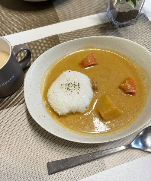 食器 美濃焼きオーバルカレー皿 / LAKOLE | LAKOLE | 14