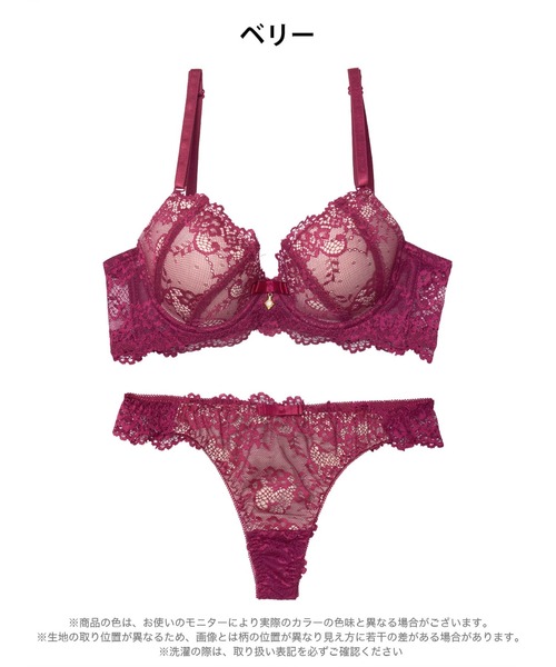 ブラジャー ショーツセット 「選べるショーツ」ヌーディーレース育乳脇