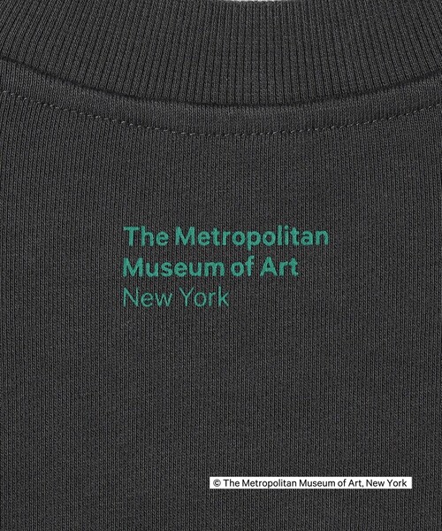 tシャツ SHIPS Colors:THE MET コラボ エンブロイダリー  ボクシー スウェット レディース SHIPS Colors tシャツ Colors:THE MET コラボ エンブロイダリー