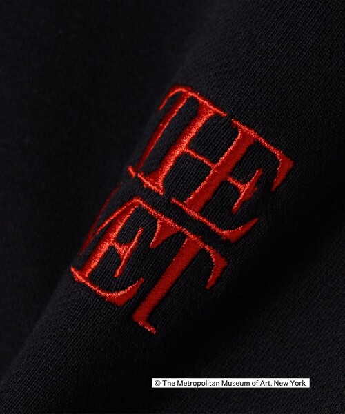 SHIPS Colors tシャツ Colors:THE MET コラボ エンブロイダリー
