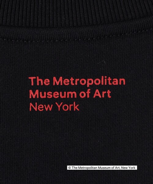SHIPS Colors tシャツ Colors:THE MET コラボ エンブロイダリー