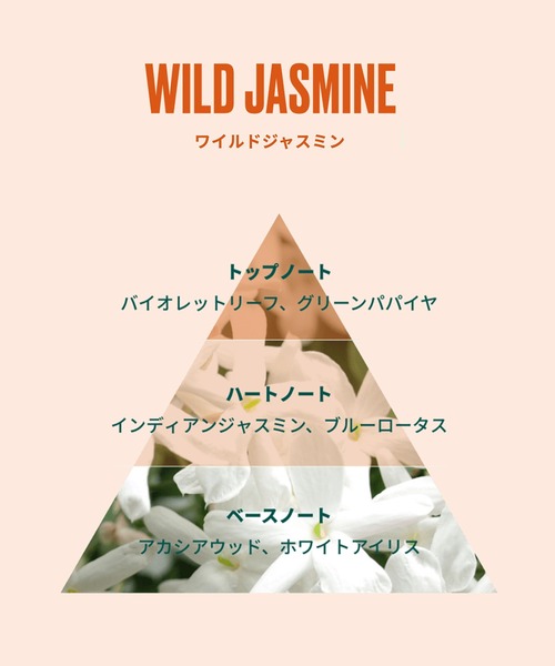 THE BODY SHOP（ザボディショップ） ボディソープ ワイルド ジャスミン