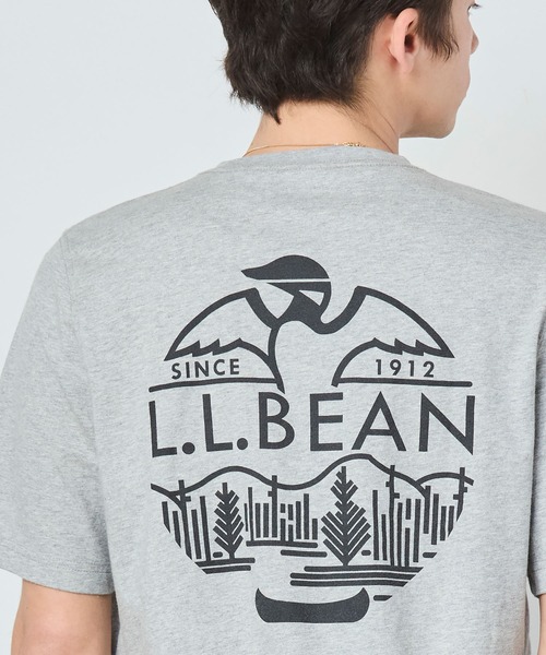 tシャツ ケアフリー・アンシュリンカブル・ティ、半袖ポケット付き　グラフィック ジャパン・フィット メンズ レディース | L.L.Bean | 18