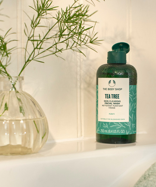 THE BODY SHOP（ザボディショップ） 洗顔 the body shop TT スキン