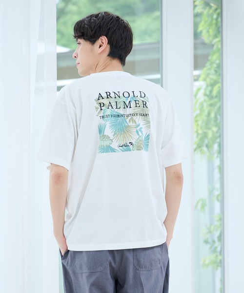 Arnold Palmer（アーノルドパーマー） tシャツ シェア アソート