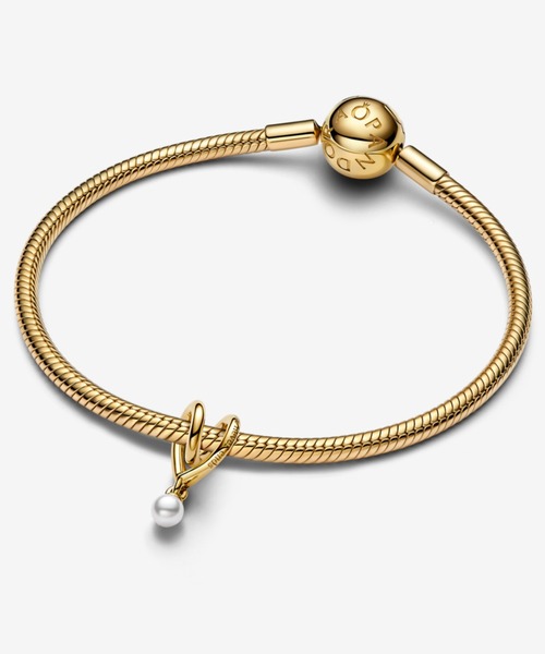 PANDORA パンドラ チャーム ブレスレット 20cm PANDORA（パンドラ） ブレスレット PANDORA Moments Snake Chain
