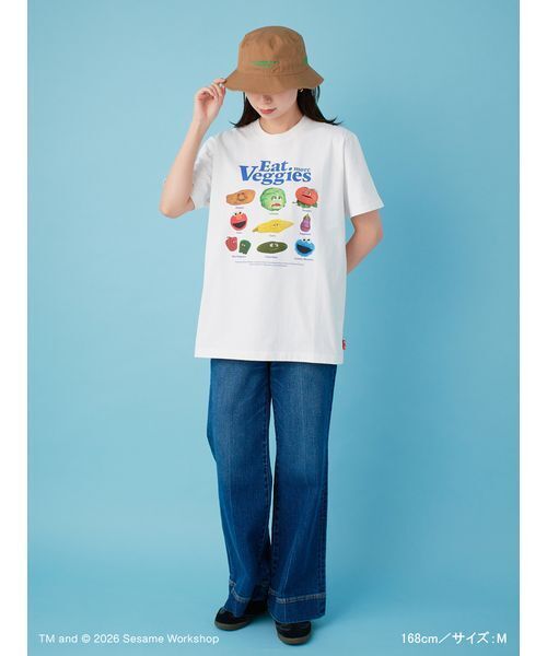 「SESAME STREET」 半袖Tシャツ L ブルー レディース_画像4
