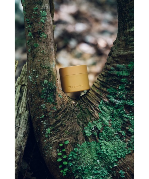 美容液 オイル クリーム ワフィト waphyto レジェナ エンリッチドクリーム　50g