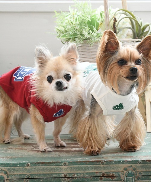 XLARGE（エクストラ ラージ） 犬 服 XLARGE/スランテッドOGタンク