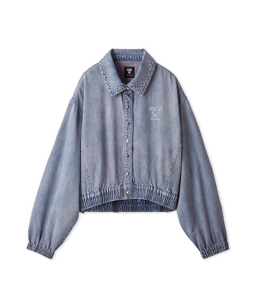 ANNA SUI（アナスイ） ブラウス シャツ 「LILY BROWN×ANNA SUI 