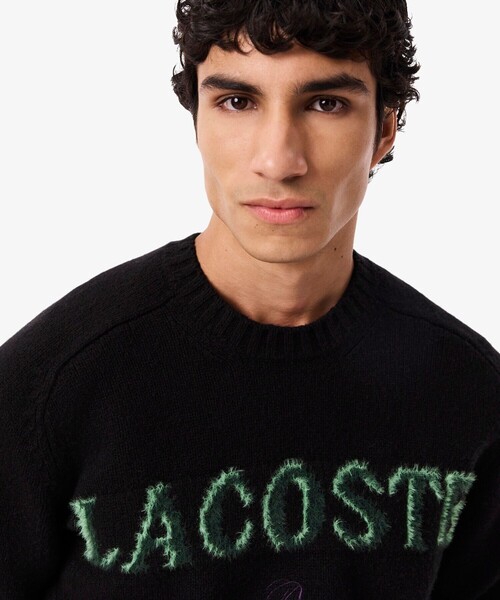LACOSTE（ラコステ） セーター ニット ブランドネームロゴシャギーニッ