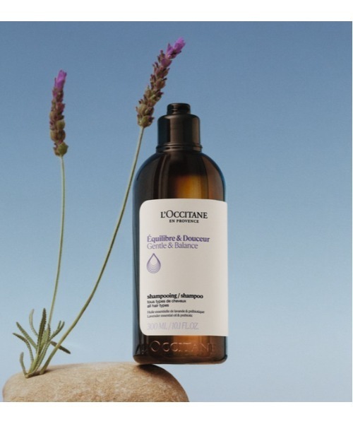 L'OCCITANE（ロクシタン） シャンプー ファイブハーブス バランシング