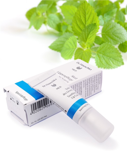 Dr.Hauschka（ドクターハウシュカ） リップクリーム リップ Dr