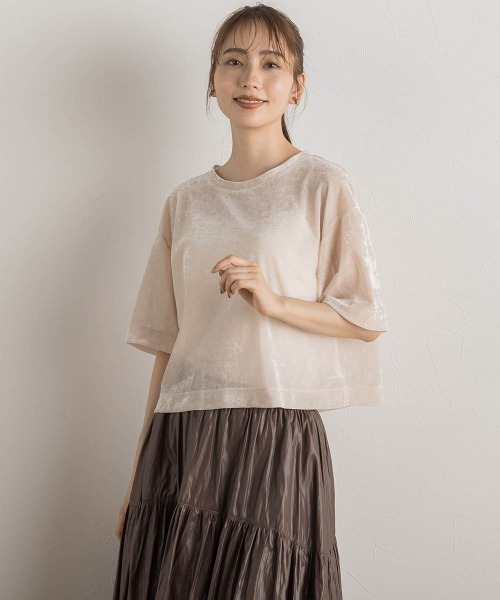 tシャツ シアーカームメッシュプルオーバー「手洗い可能」 レディース