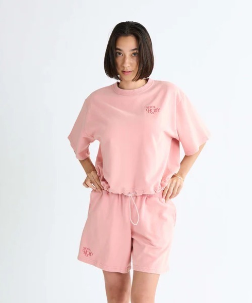 tシャツ ロキシー ROXY VACANCES TEE レディース ROXY tシャツ VACANCES TEE /ロキシーバックプリントクロップド
