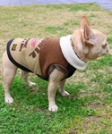 犬 服 「犬服・防寒・着脱簡単」DOG裏ボアコ...の詳細画像3