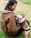 犬 服 「犬服・防寒・着脱簡単」DOG裏ボアコ...の詳細画像1